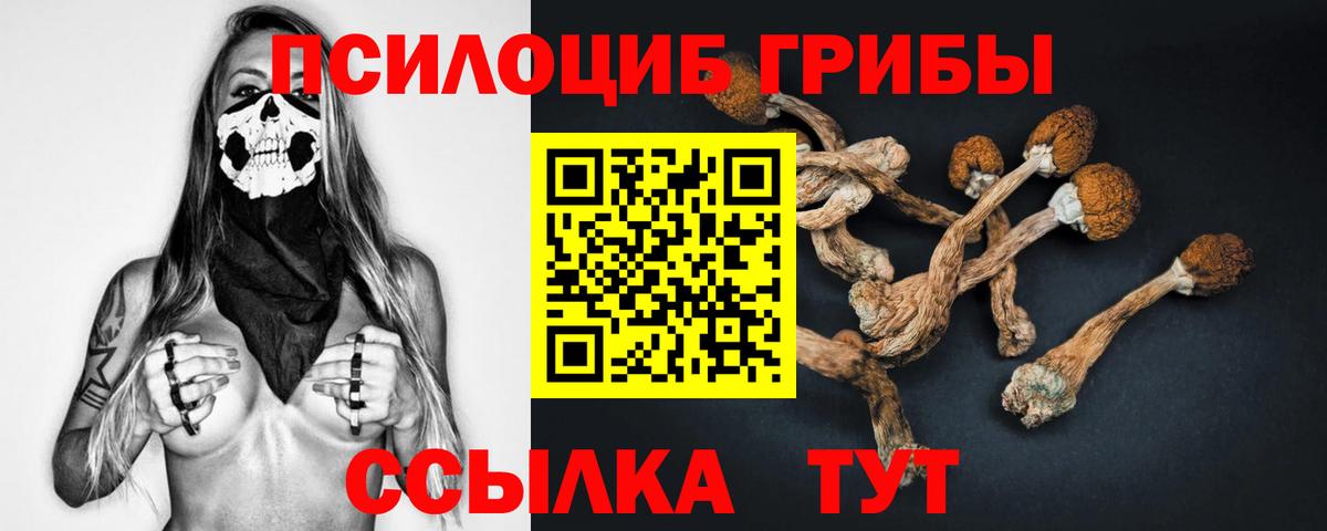 Псилоцибиновые грибы мухоморы  Псилоцибиновые грибы Psilocybine cubensis  Можга  Вход с VPN 